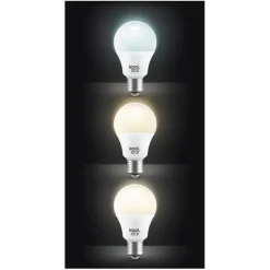 Ampoule KOOL.STAR LAMP LED 23