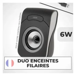 Enceintes APM Filaires USB 2.0 - Duo Haut-Parleurs PC