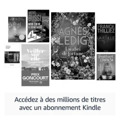 Liseuse AMAZON Kindle Paperwhite (2024) 16Go étanche- noir