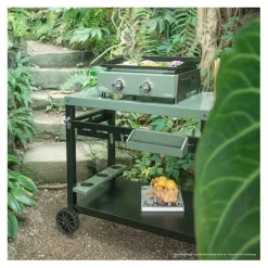 Plancha gaz LIVOO DOC323 2 brûleurs