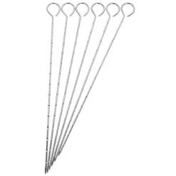 SET 6 PICS 27cm pour barbecue
