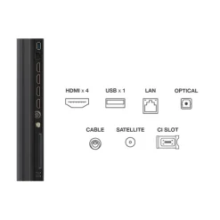 TV MINILED 55